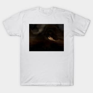 Dark eyes T-Shirt